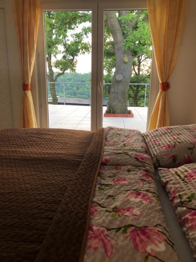 Apartman - D - Vyhlidka Nad Rekou Zdiby Eksteriør bilde